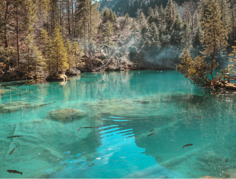 1650683717709210.png 微信截圖_20220401133602.png