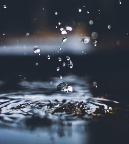 1653120778583722.jpg 18.jpg