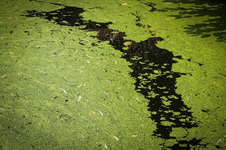 污水檢測 污水檢測