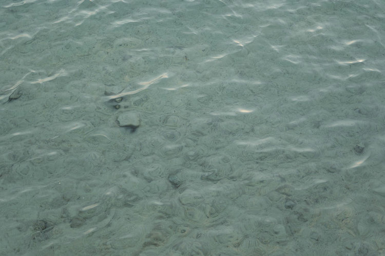 水質(zhì)檢測(cè) 水質(zhì)檢測(cè)