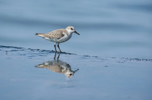 總氮超標(biāo)怎么處理?.jpg 總氮超標(biāo)怎么處理?.jpg